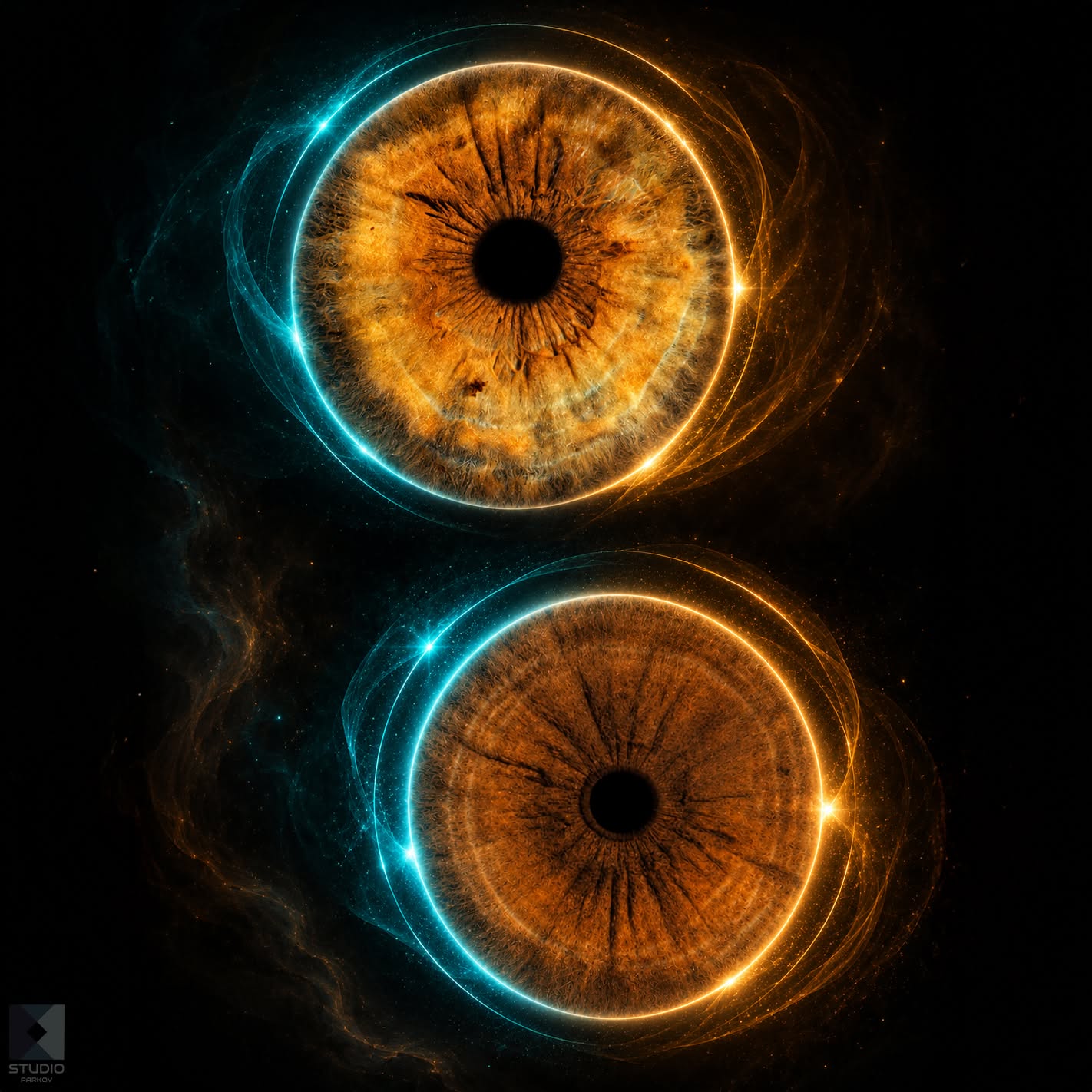 Ирисова фотография